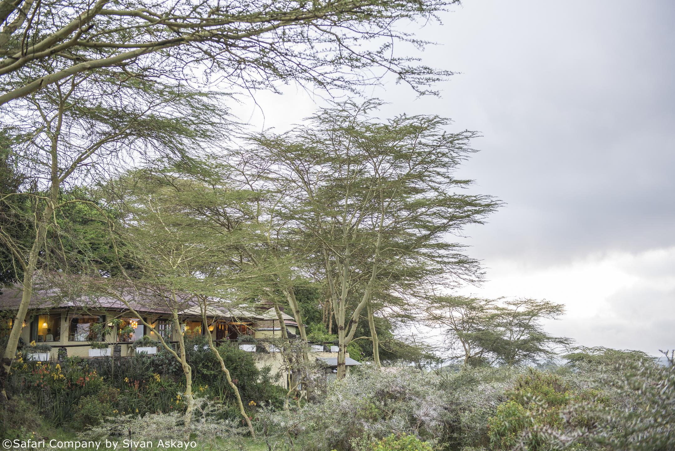 Hatari Lodge thumbnail 2